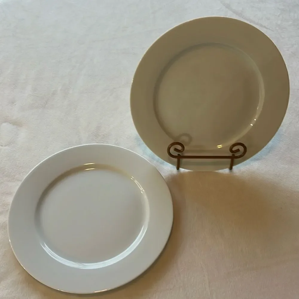 IKEA Of Sweden Dinner Plates White 10 1/2 Inches Round Stoneware Design Set Of 2